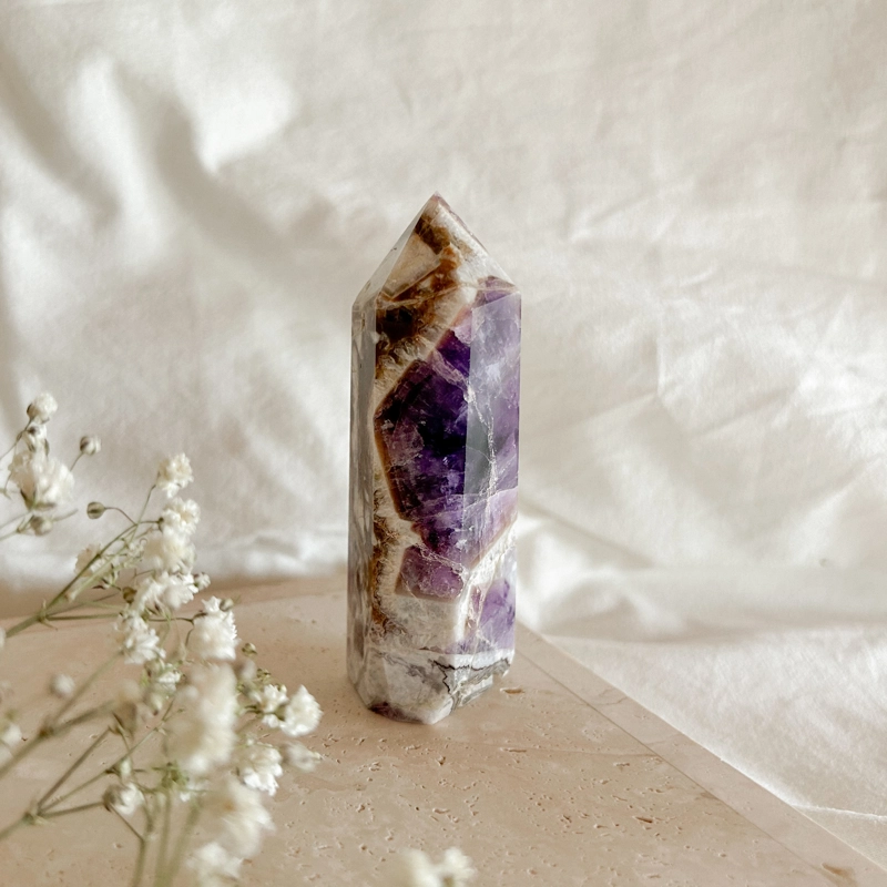 punta Ametista Fasciata